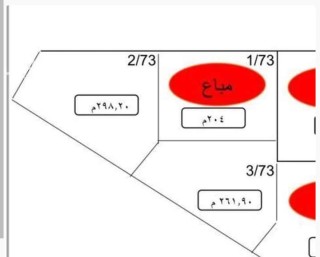 ارض سكنية للبيع حي النرجس